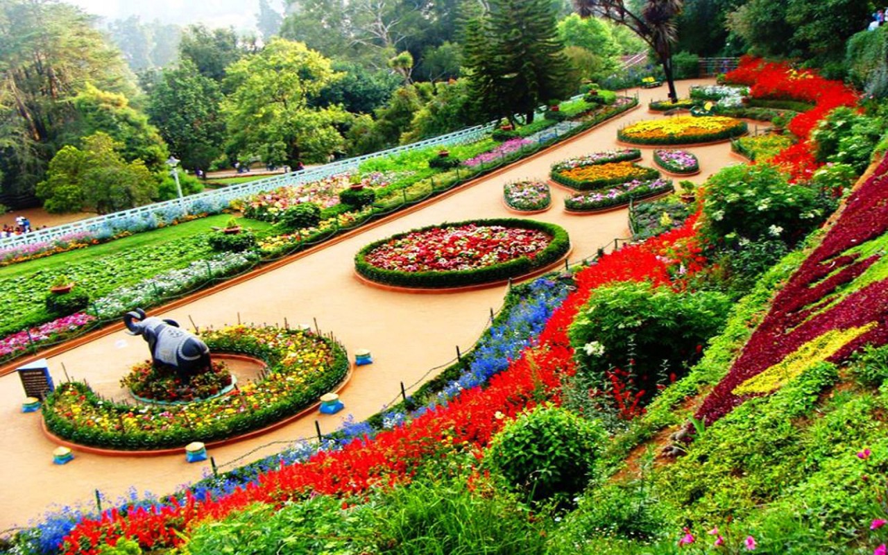 Coimbatore to Ooty